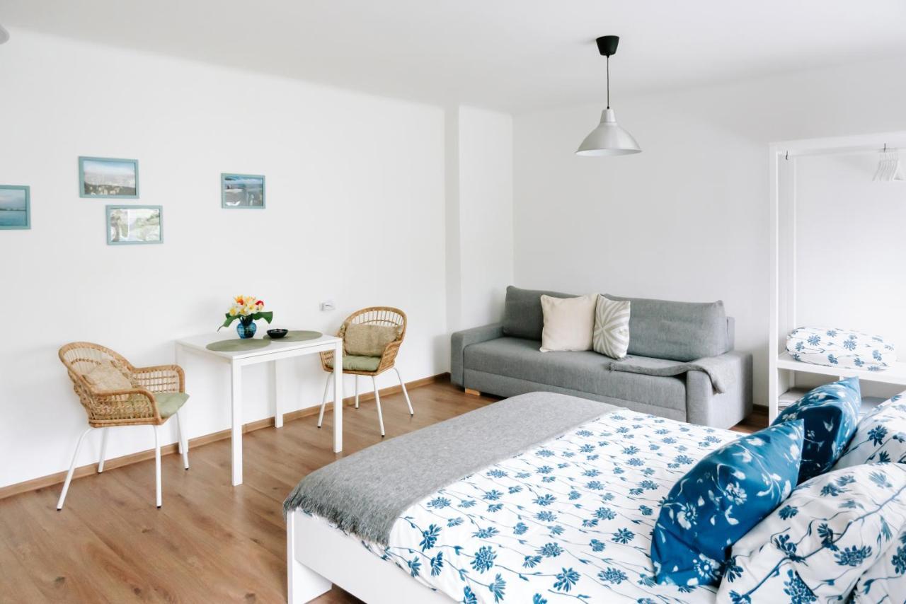 Lake Aluksne Studio Apartment Extérieur photo