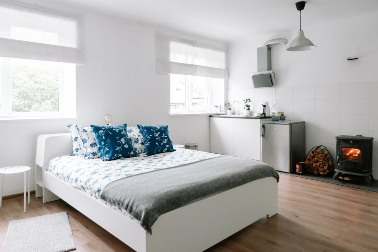 Lake Aluksne Studio Apartment Extérieur photo