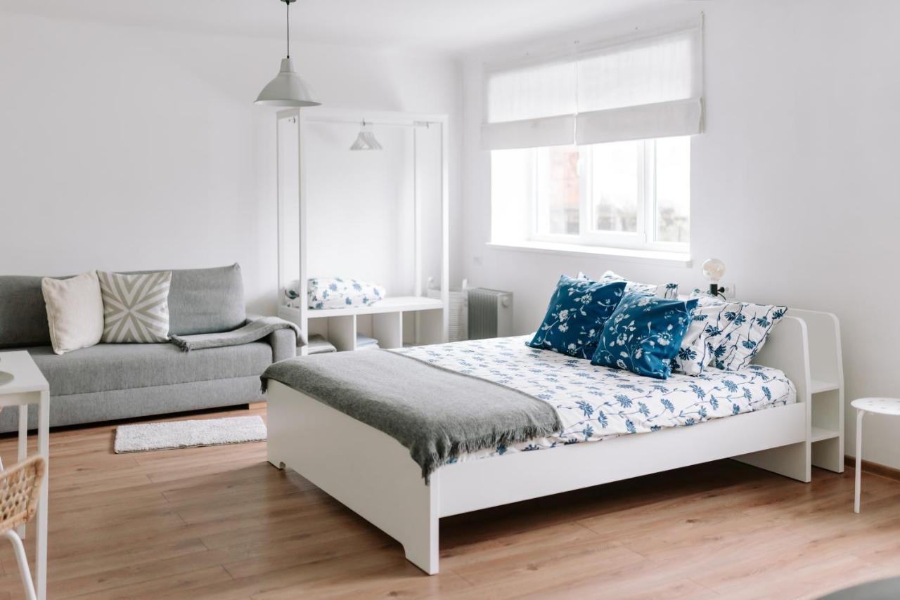 Lake Aluksne Studio Apartment Extérieur photo