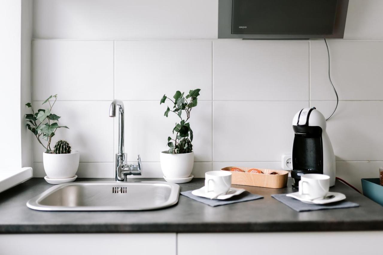 Lake Aluksne Studio Apartment Extérieur photo