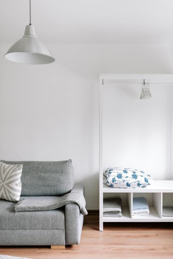 Lake Aluksne Studio Apartment Extérieur photo