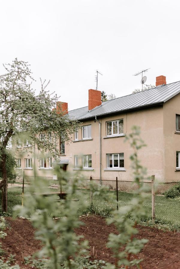 Lake Aluksne Studio Apartment Extérieur photo